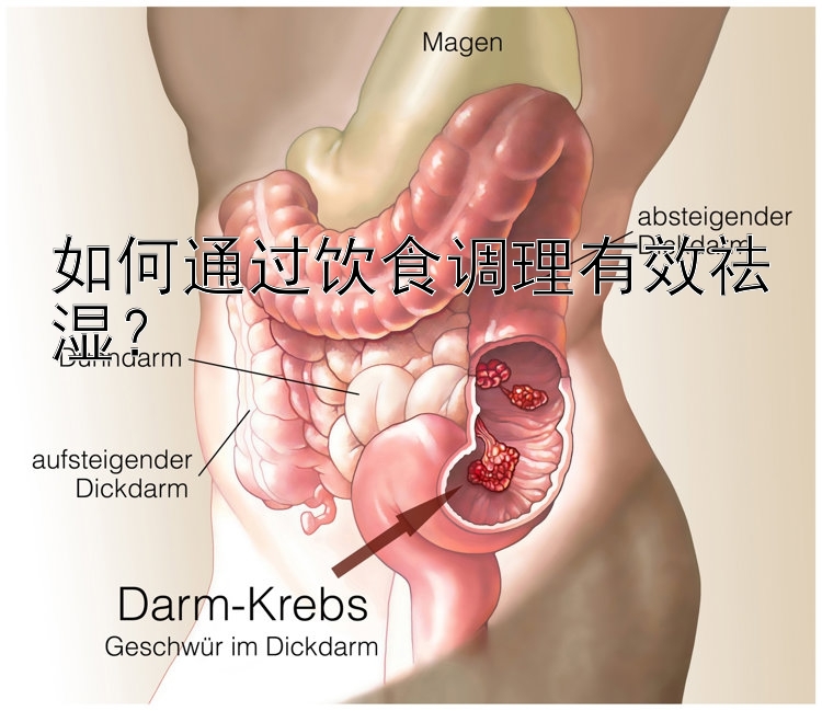 如何通过饮食调理有效祛湿？