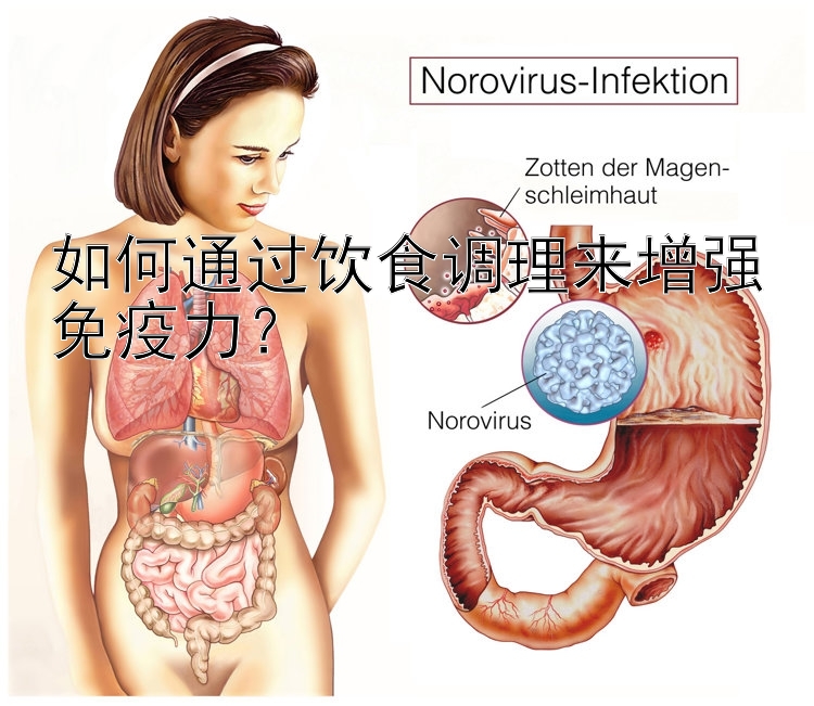 如何通过饮食调理来增强免疫力？