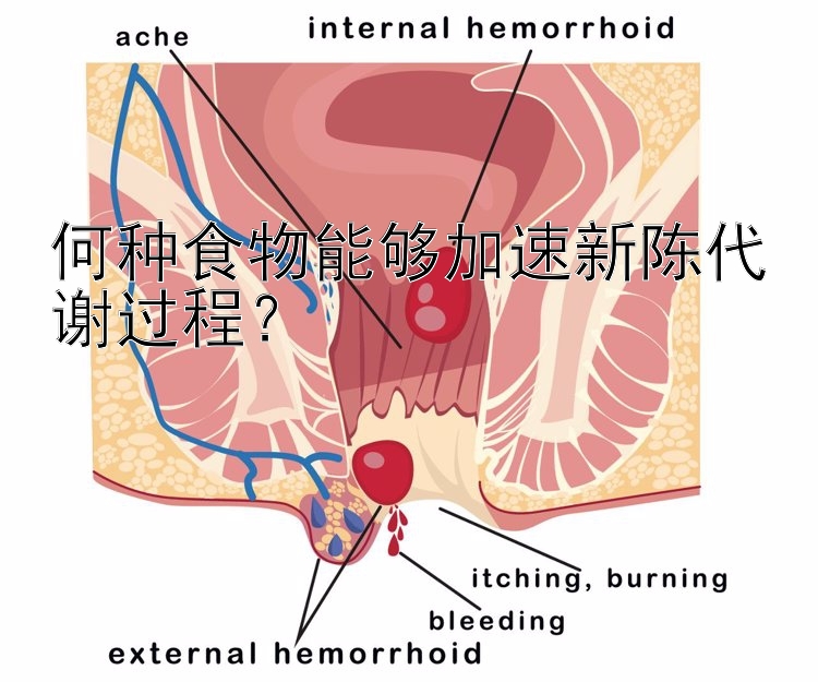 何种食物能够加速新陈代谢过程？