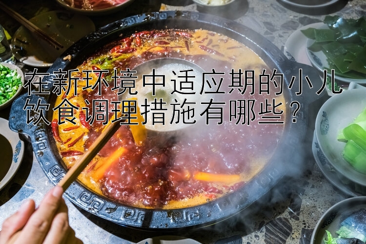 在新环境中适应期的小儿饮食调理措施有哪些？