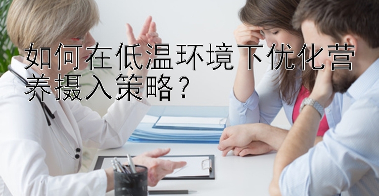 如何在低温环境下优化营养摄入策略？