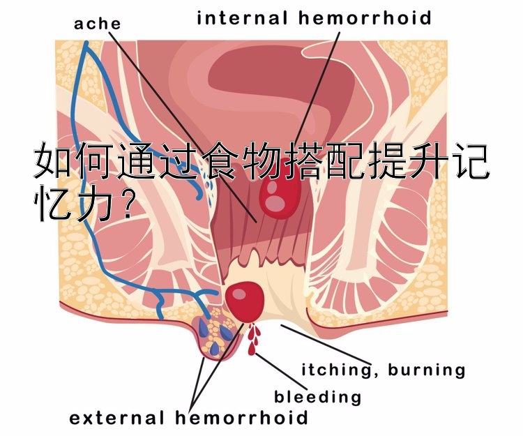 如何通过食物搭配提升记忆力？