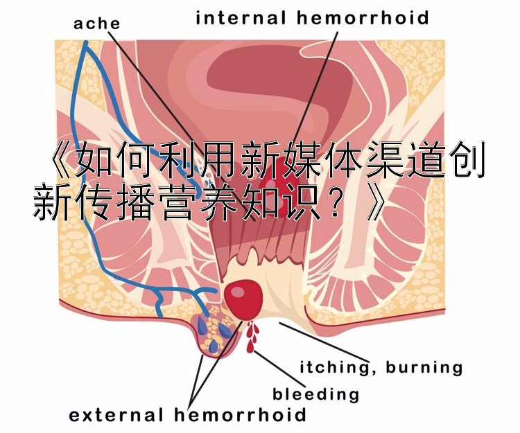 乐发台子总代理邀请码 《如何利用新媒体渠道创新传播营养知识？》