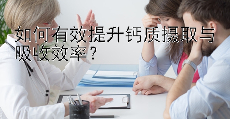 如何有效提升钙质摄取与吸收效率？