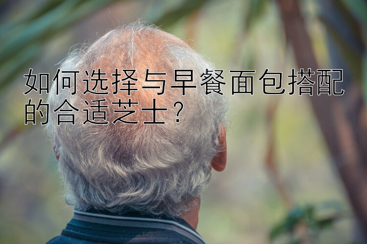 如何选择与早餐面包搭配的合适芝士？