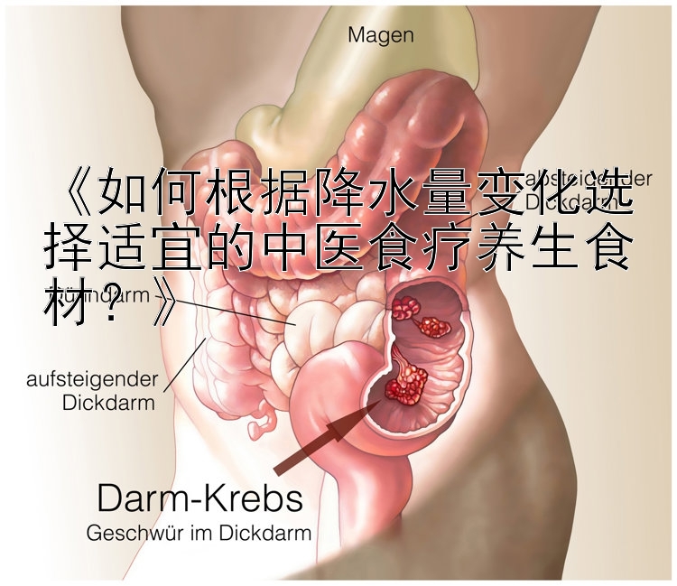 《如何根据降水量变化选择适宜的中医食疗养生食材？》