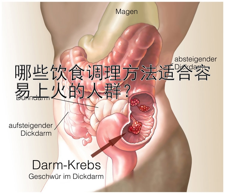 哪些饮食调理方法适合容易上火的人群？