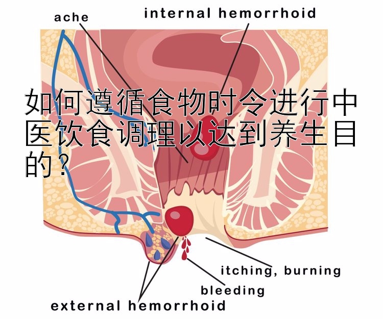 如何遵循食物时令进行中医饮食调理以达到养生目的？