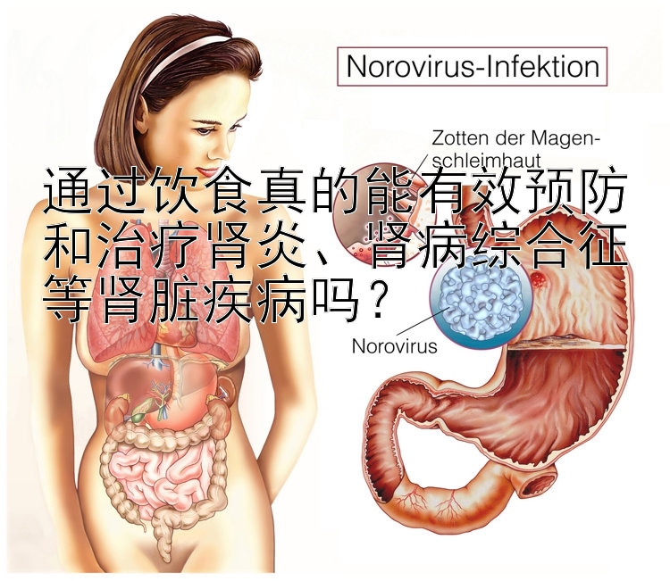 通过饮食真的能有效预防和治疗肾炎、肾病综合征等肾脏疾病吗？