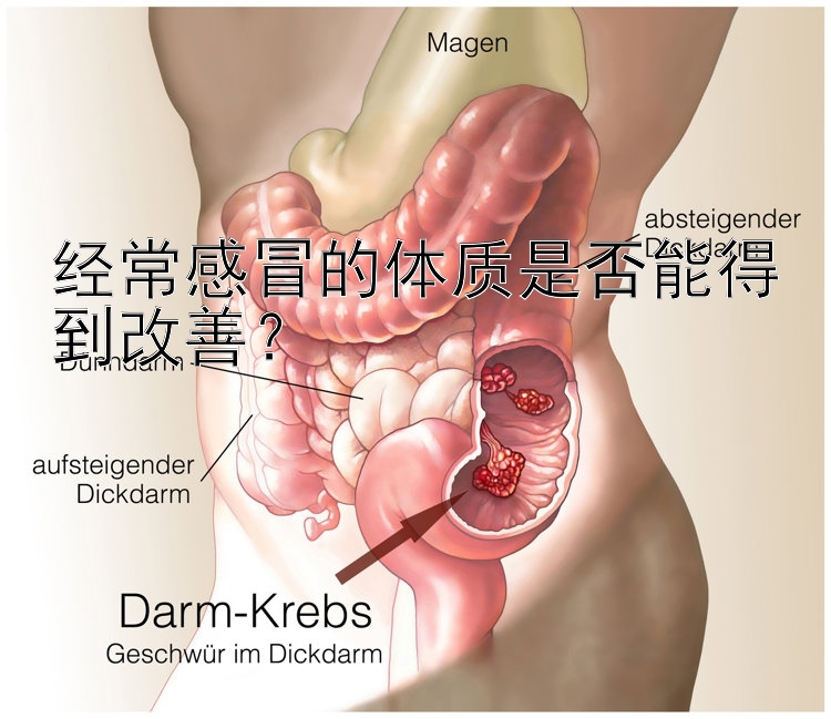 经常感冒的体质是否能得到改善？