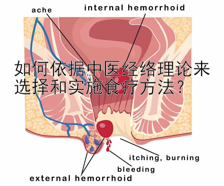 如何依据中医经络理论来选择和实施食疗方法？