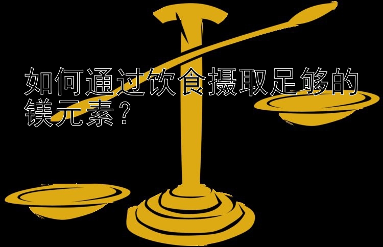 如何通过饮食摄取足够的镁元素？