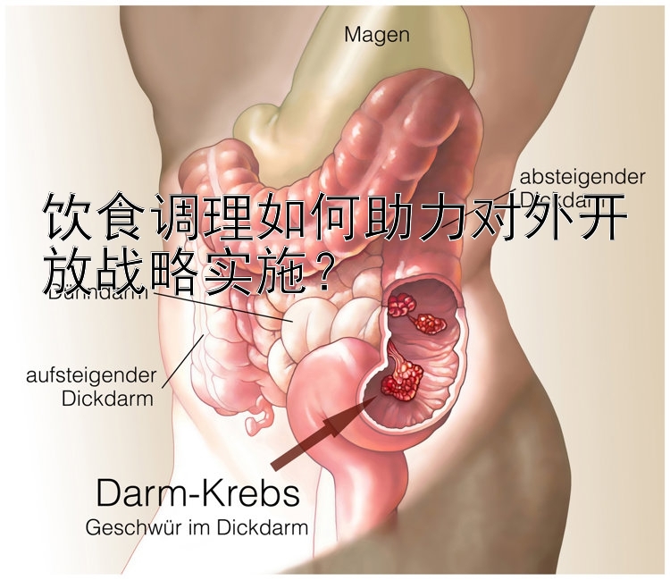 饮食调理如何助力对外开放战略实施？