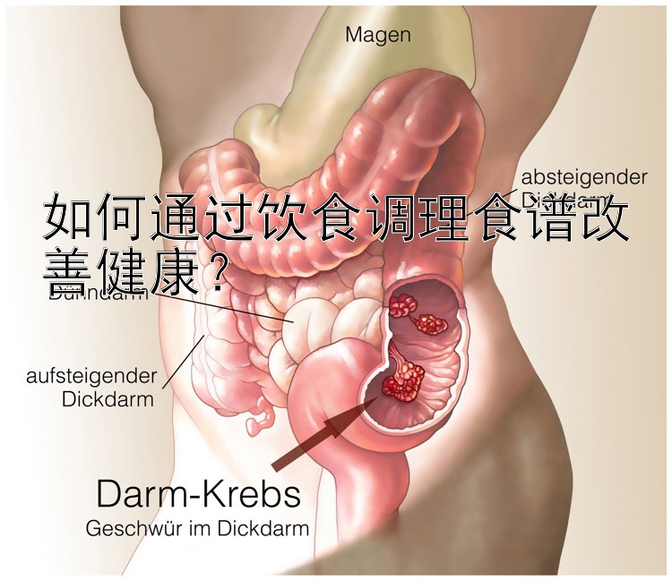 如何通过饮食调理食谱改善健康？