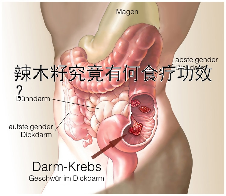 辣木籽究竟有何食疗功效？